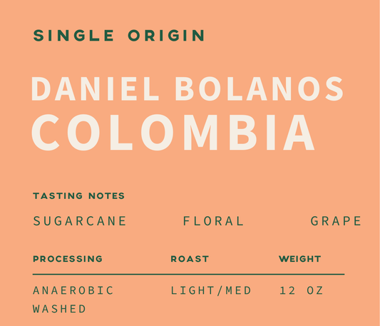 Daniel Bolaños