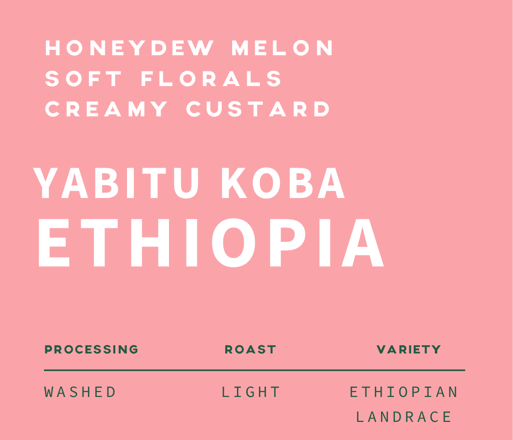 Yabitu Koba