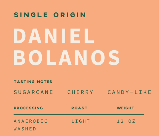 Daniel Bolaños